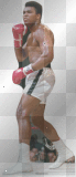muhammad ali alias cassius clay  