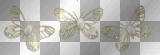 MARIPOSAS DORADAS GIF--SOFIA
