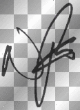 Nathan autograph
