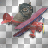 Cat plane transparent