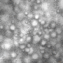 • Animated bg - HC