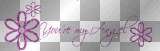 you're my angel - purple text²u