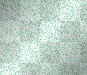 teal white green