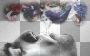 Man smoking - fantasy smoke asbb © Man smoking - fantasy smoke asbb ©