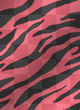 Zebra Background (Multicolor)