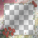 pearls flowers fores perlas frame marco  rojo blanco rosadoo pink red rouge