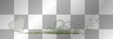 White Hearts On A Vine