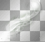 artemia