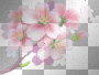 • ● Cherryflower =) Flower ~ by Nina ● •