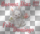 buenos dias