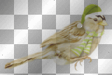 Xmas, bird, green, hat