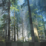 soave background nature green blue tree wood