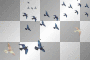 soave bird blue white animated