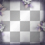 amon // purple frame amon // purple frame