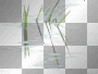 amon // grass amon // grass