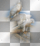 amon // birds
