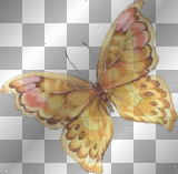 Mariposas  dora1112
