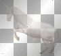 white unicorn white unicorn