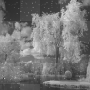 soave background winter snow animated black white