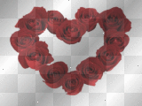 coração rosas