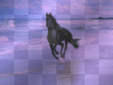Horses ♥ by Mistycfairy