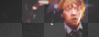 Ron Weasley & Hermione Granger in Harry Potter and the deathly hallows part 1 x333