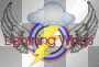 Lightning Wings