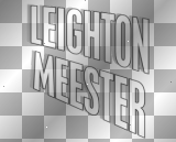 Leighton Meester ' white black gray text