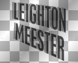 Leighton Meester ' black white gray text