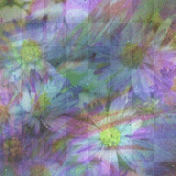 soave background flowers puple blue spring