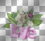 bear,  cute, love,  white, lilac