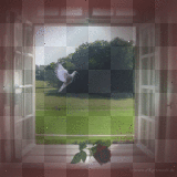 window