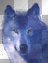 Animated Blue Wolf.
