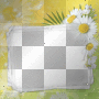 amon // spring  frame 