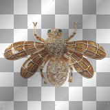 Jewelry fly vintage deco diamond
