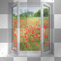 window