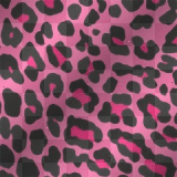 Leo_Background