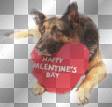 Happy Valentine's Day