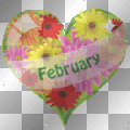 HAPPY FEBRUARY