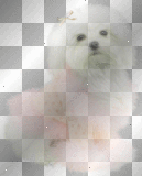 dog,.