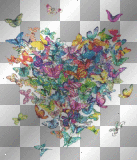 farfalla butterfly