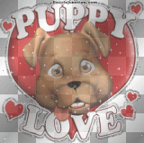 Puppy Love -Heart Doggy_²u
