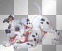 MELBA PERRO DALMATA