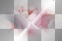 background candy pink bl