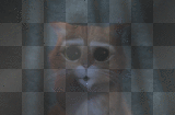 Gato con Botas