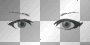 auge