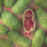 ♥ Anne Geddes / Baby ♥ - by Nina