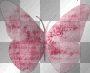 butterfly scrap deco transparent pink [1ֆ]