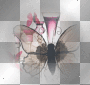 background pink transparent deco [1ֆ]
