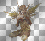 artemia